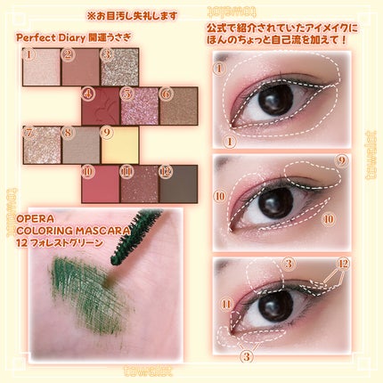 エクスプローラ12色 動物アイシャドウパレット/PERFECT DIARY/アイシャドウパレットを使ったクチコミ(2枚目)