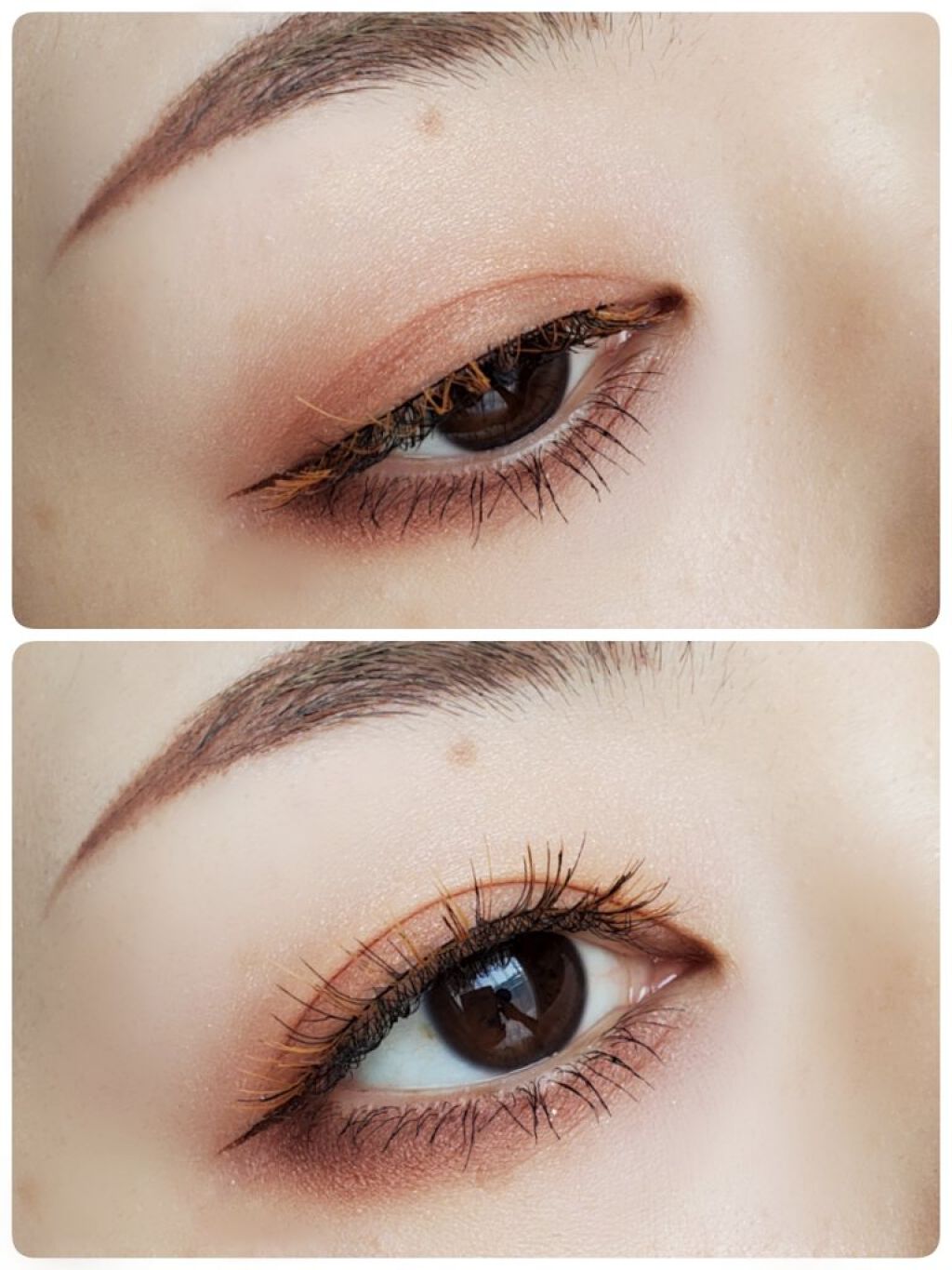 カラーラッシュ 02 オレンジ/D-UP/つけまつげを使ったクチコミ（2枚目）