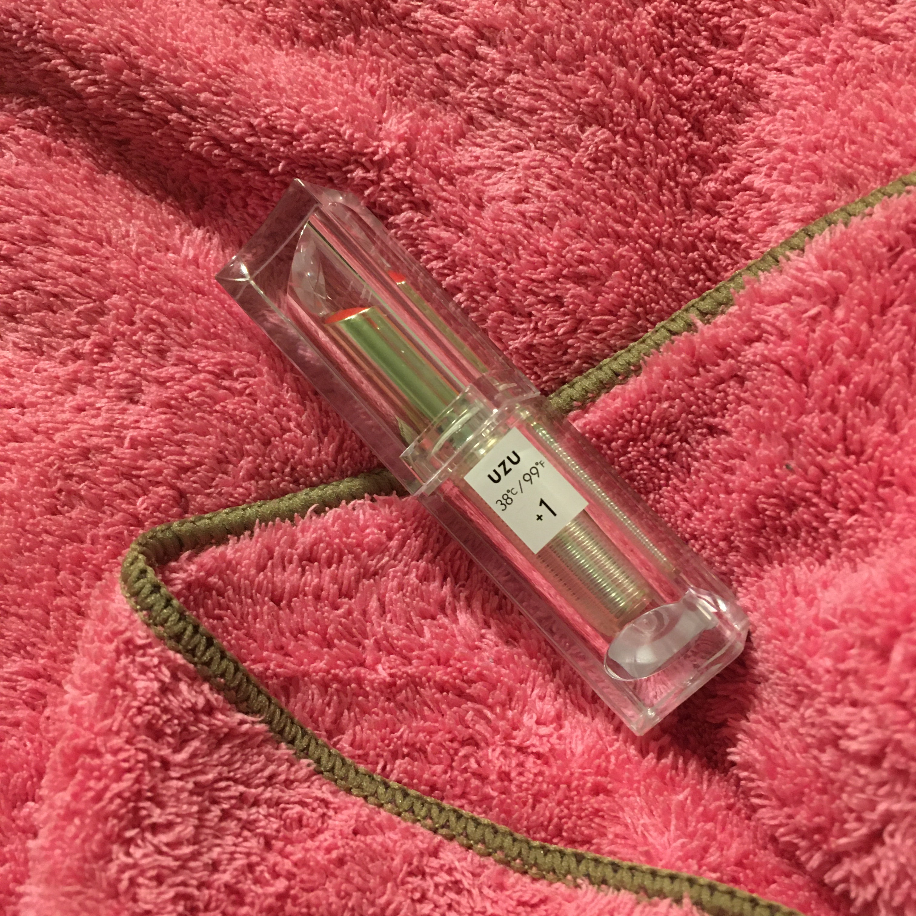 38/99°F LIP KIT BOOK BLACK edition/宝島社/リップグロスを使ったクチコミ（1枚目）