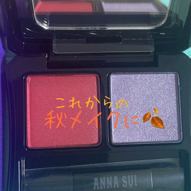 アイカラーコンパクト 08 バラ×あやめ/ANNA SUI/アイシャドウパレットを使ったクチコミ（2枚目）