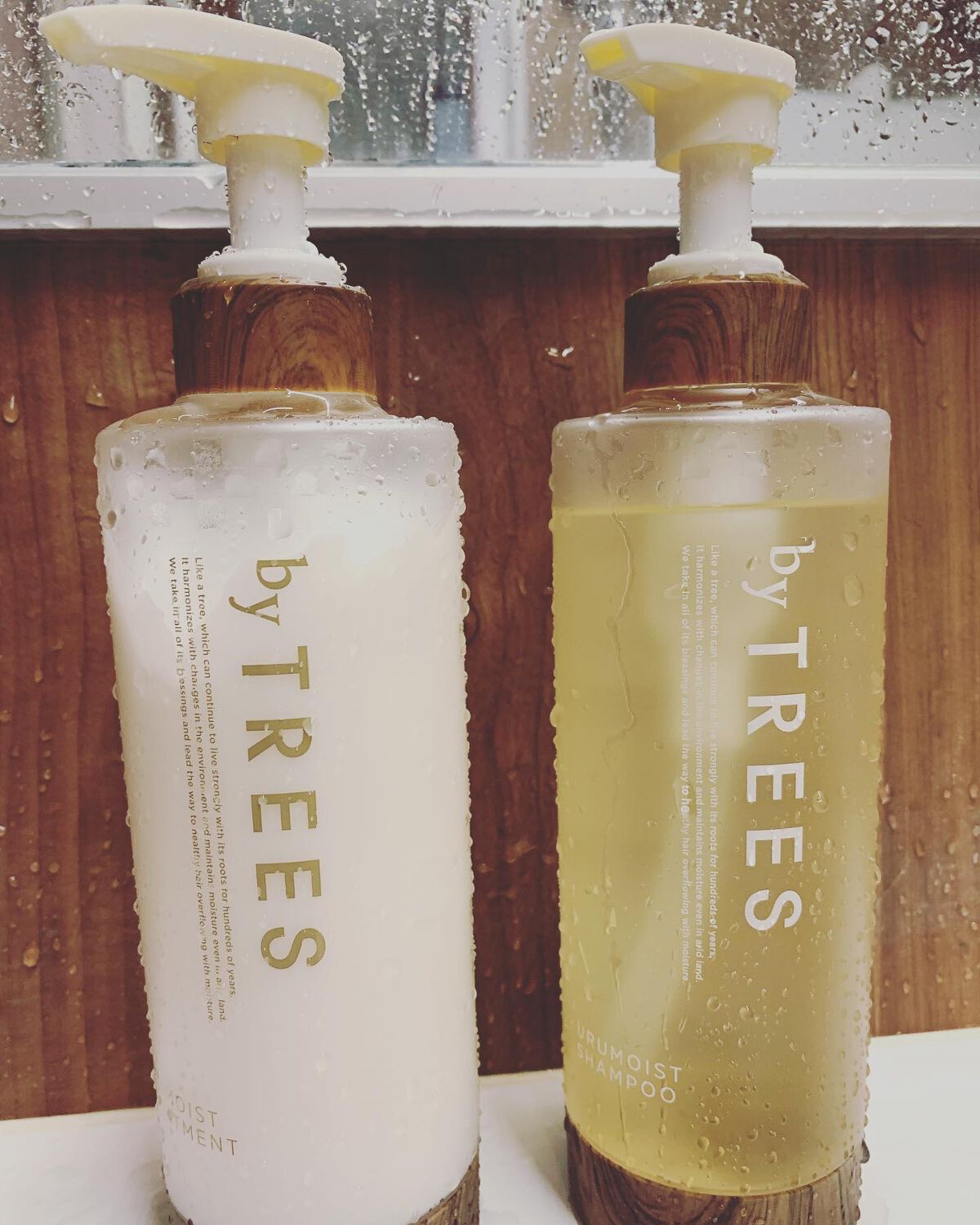 うるモイストシャンプー/トリートメント/byTREES/市販シャンプーを使ったクチコミ(1枚目)