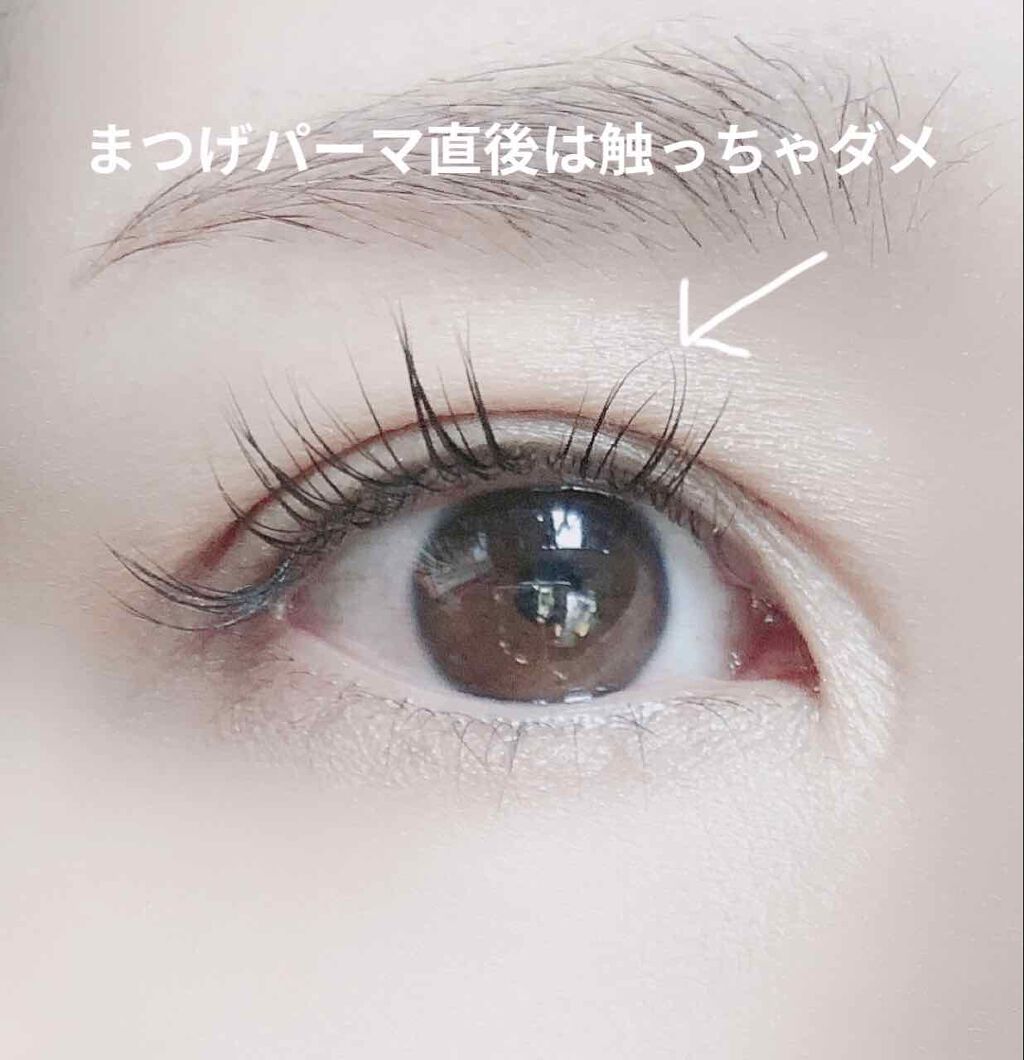 ラッシュアディクト アイラッシュコンディショニングセラム/soaddicted/まつげ美容液を使ったクチコミ(3枚目)