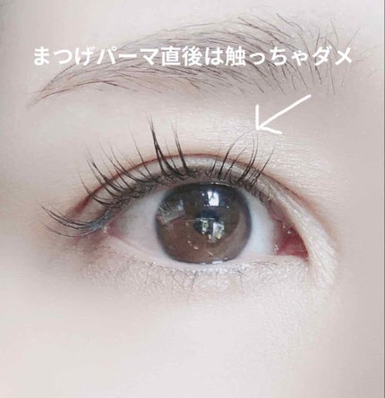 ラッシュアディクト アイラッシュコンディショニングセラム/soaddicted/まつげ美容液を使ったクチコミ(3枚目)