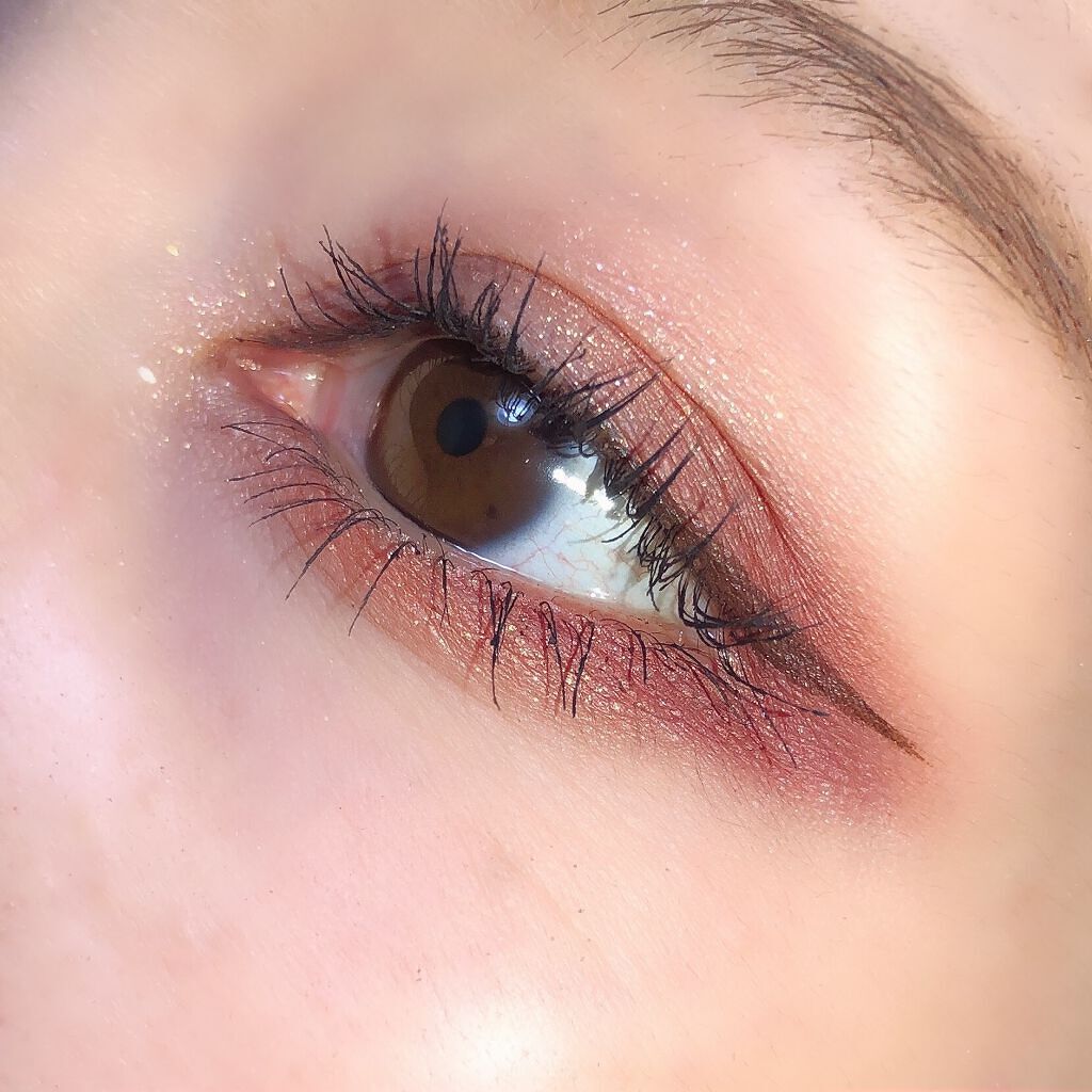 エクスプローラ12色 動物アイシャドウパレット/PERFECT DIARY/アイシャドウパレットを使ったクチコミ(6枚目)