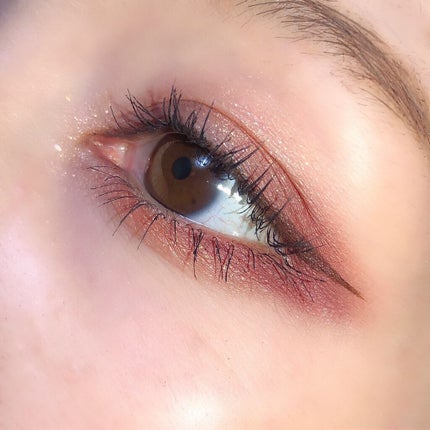 エクスプローラ12色 動物アイシャドウパレット/PERFECT DIARY/アイシャドウパレットを使ったクチコミ(6枚目)