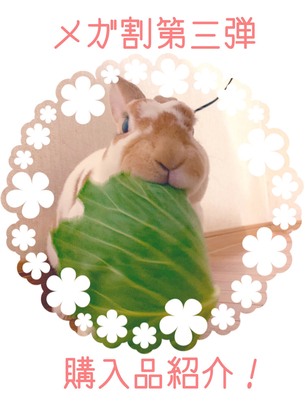 ドクタートラップレチノールセラム/SIDMOOL/美容液を使ったクチコミ（1枚目）