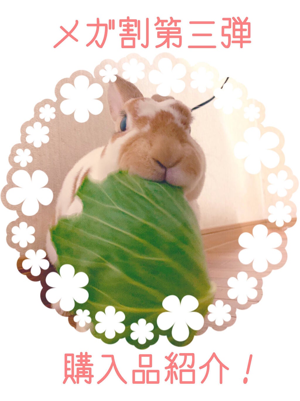 アイ ヴィーガン シアーパレット/AMUSE/アイシャドウパレットを使ったクチコミ(1枚目)