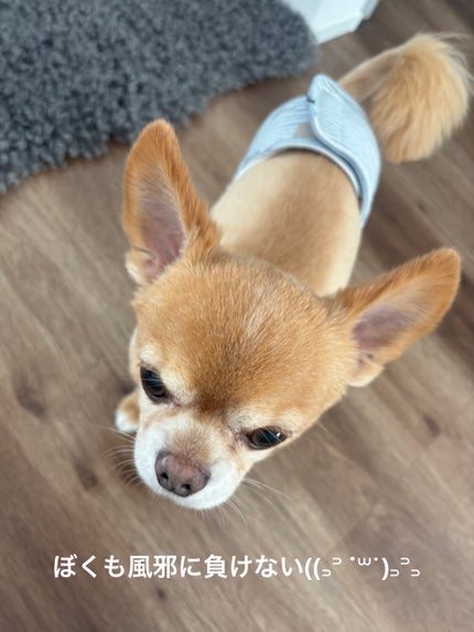 極上はちみつ紅茶/ラクシュミー/ドリンクを使ったクチコミ(9枚目)