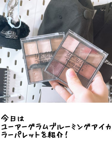 ブルーミングアイカラーパレットb (TOKYO GIRLS COLLECTION) 01 ブラウン/U R GLAM/アイシャドウパレットを使ったクチコミ（1枚目）