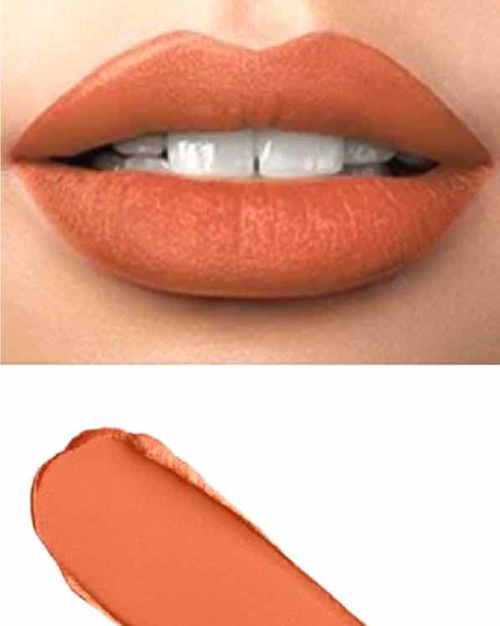 カラーリッシュモイストマットN/ロレアル パリ/口紅を使ったクチコミ（1枚目）