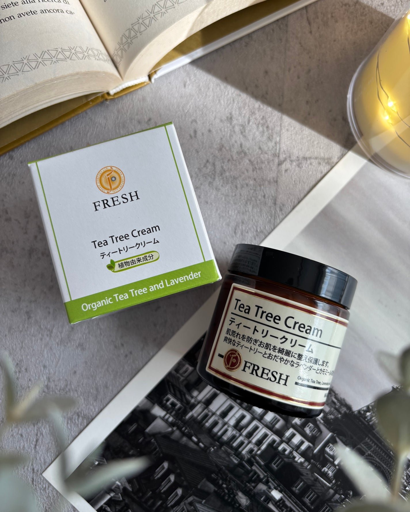FRESH ティートリークリーム/コーラル・ムーン/フェイスクリームを使ったクチコミ(6枚目)