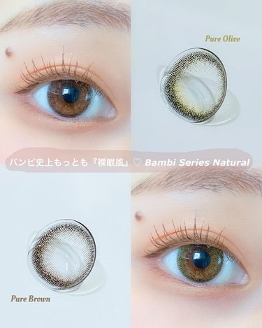 バンビシリーズ ワンデー ナチュラル Pure Brown/AngelColor/ワンデー（１DAY）カラコンを使ったクチコミ（1枚目）