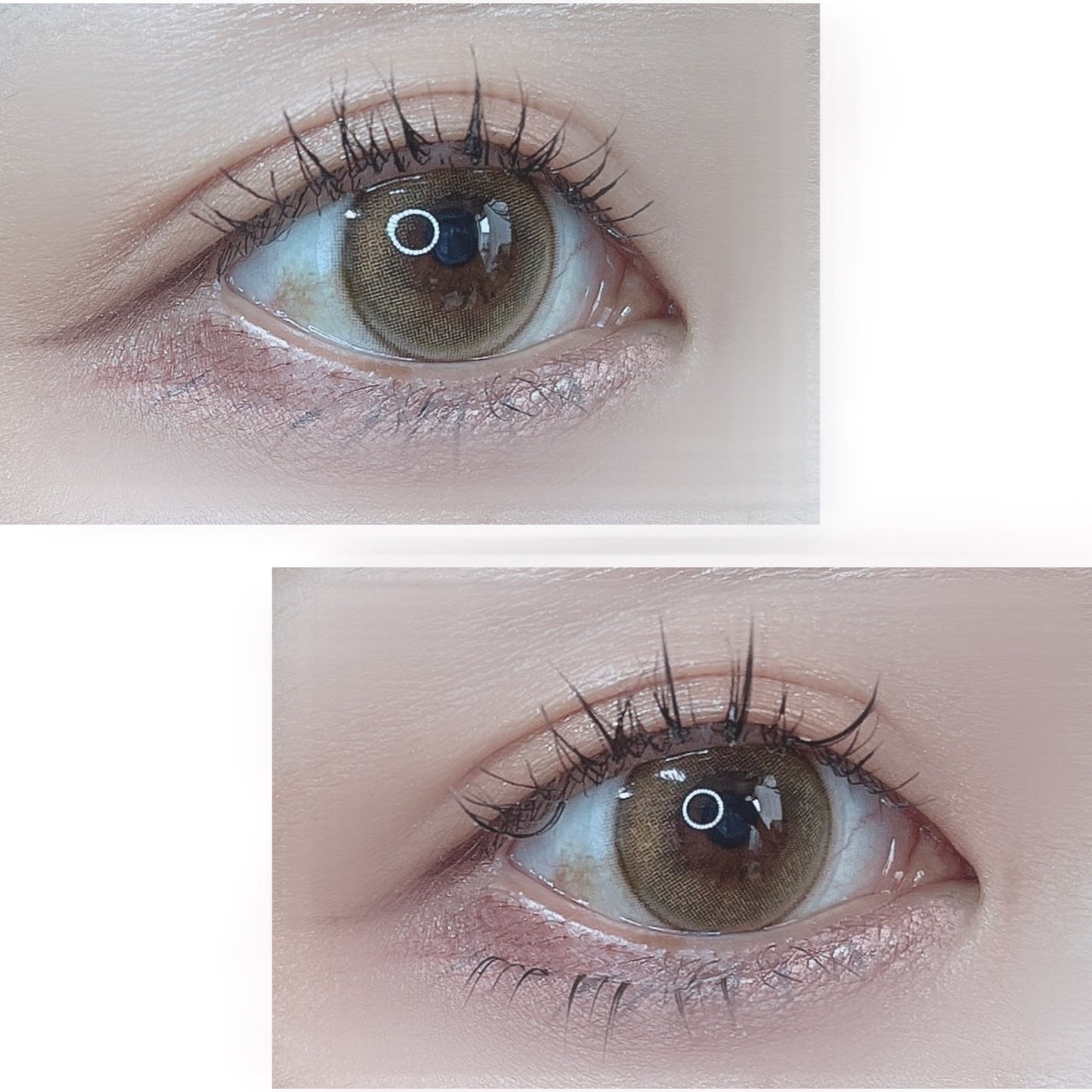 ミッシュブルーミン アイラッシュ インフィニティライン/ミッシュブルーミン/つけまつげを使ったクチコミ(4枚目)