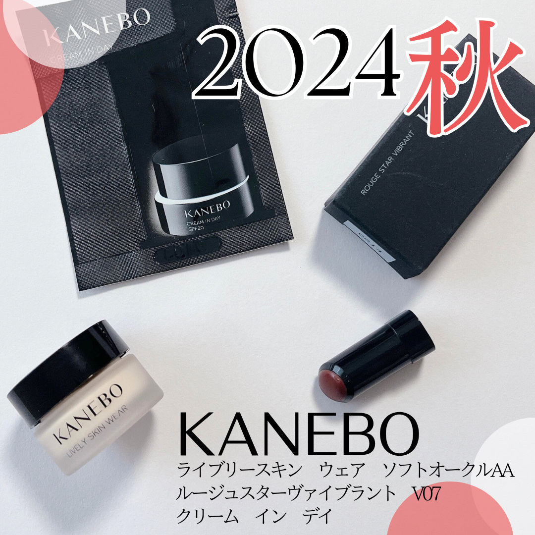 ライブリースキン　ウェア/KANEBO/クリーム・エマルジョンファンデーションを使ったクチコミ（1枚目）