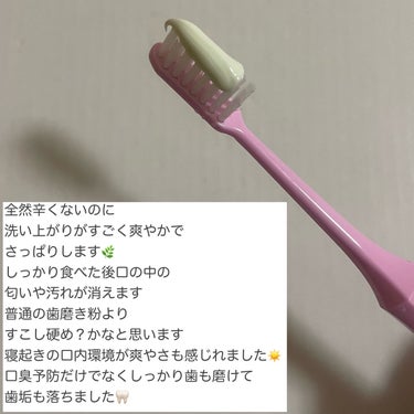 デンティス　チューブタイプ チューブタイプ（レモングラス）100g/デンティス/歯磨き粉を使ったクチコミ（3枚目）