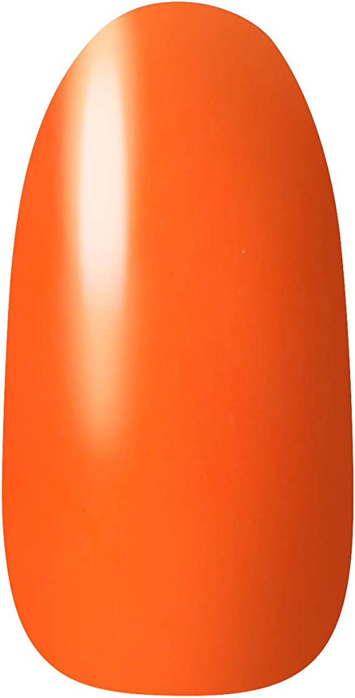 ネイルホリック Vivid color OR202