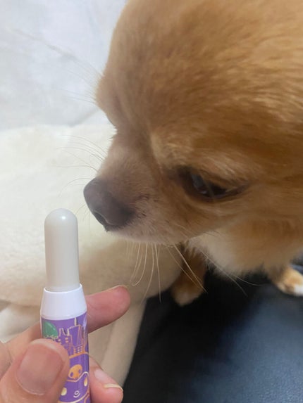 レブロン キス シュガー スクラブ/REVLON/リップスクラブを使ったクチコミ(4枚目)