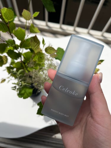 Celvoke リブート ボディミストのクチコミ「まるで森林浴のミスト🌲🌳🌿🍃🚿

Celvoke
#リブートボディミスト

まず感じるのがミン.....」（1枚目）