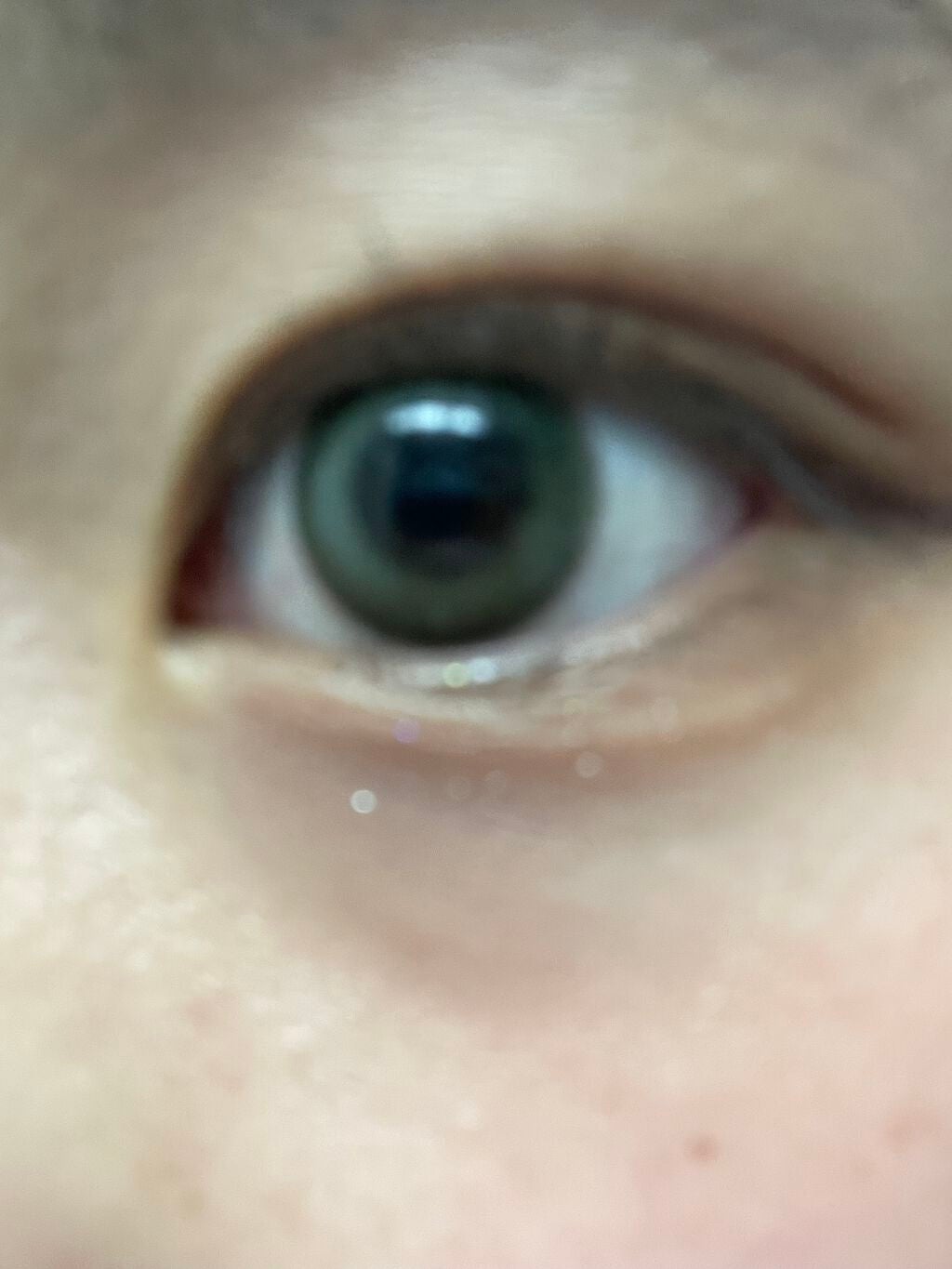 VNTUS 1day/VNTUS/ワンデー(1DAY)カラコンを使ったクチコミ(2枚目)