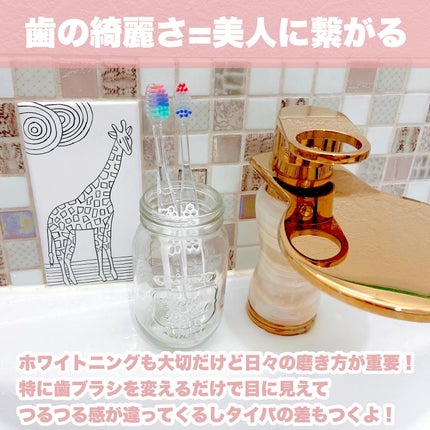 プログリップハブラシ typeⅠ/エビス/歯ブラシを使ったクチコミ(2枚目)