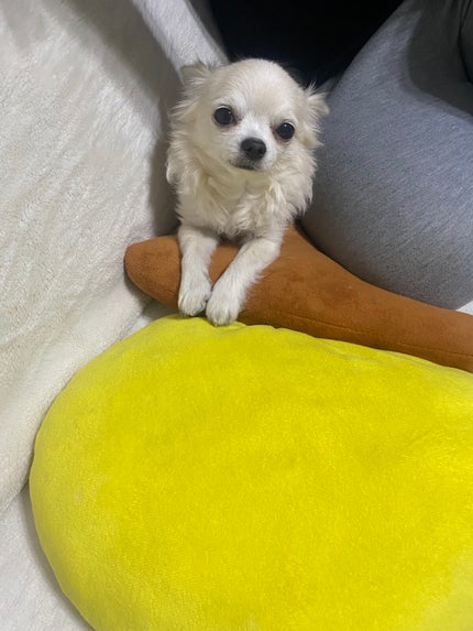 アンドバイロムアンド メロウアイパレット/&nd by rom&nd/アイシャドウパレットを使ったクチコミ(10枚目)