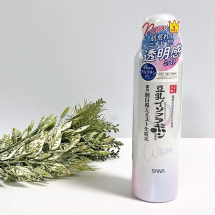 マイクロ純白ミスト化粧水/なめらか本舗/ミスト状化粧水を使ったクチコミ(2枚目)