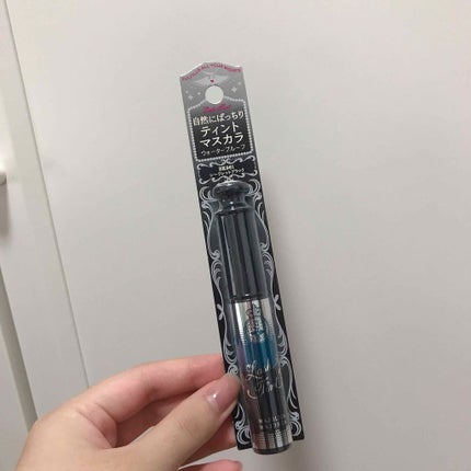 ラッシュティント/MAJOLICA MAJORCA/マスカラを使ったクチコミ(2枚目)