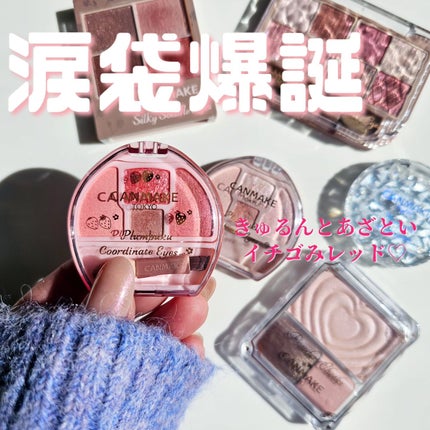 プランぷくコーデアイズ/キャンメイク/パウダーアイシャドウを使ったクチコミ(8枚目)