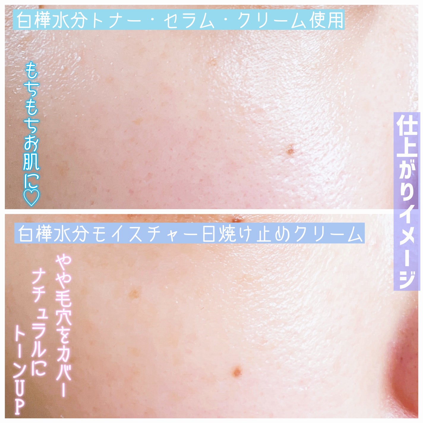 白樺水分クリーム/ROUND LAB/フェイスクリームを使ったクチコミ(7枚目)