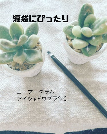 UR GLAM　EYESHADOW BRUSH C（アイシャドウブラシC）/U R GLAM/メイクブラシを使ったクチコミ（1枚目）