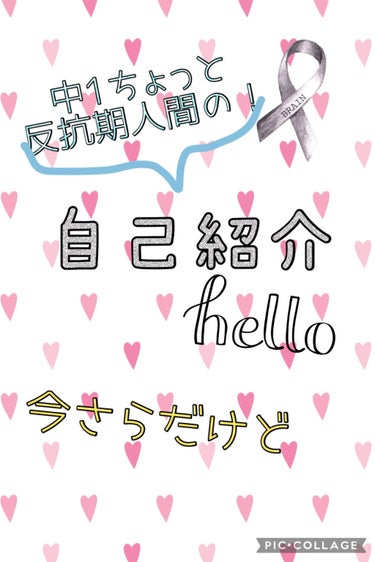 こんにちは😃
アプリコットですっっ！

なんか今さらなんですけど自己紹介したいと思います！

気のあいそうな友達つくりたいのでコメントよろしくお願いします🥺

✼••┈┈••✼••┈┈••✼••┈┈••