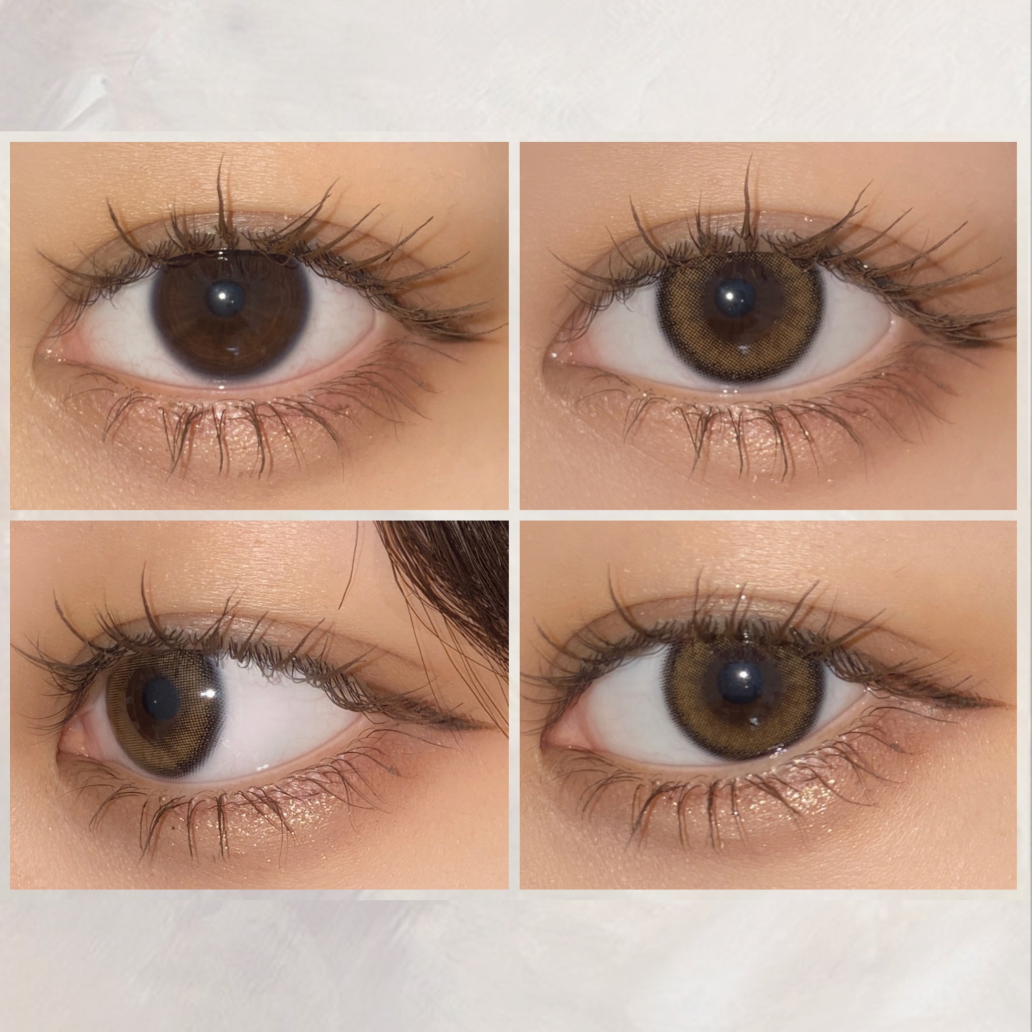 ViVi Ring 1day ブラウン/OLENS/ワンデー（１DAY）カラコンを使ったクチコミ（2枚目）