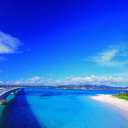 マットシフォン UVホワイトニングベースN/KiSS/化粧下地を使ったクチコミ(9枚目)