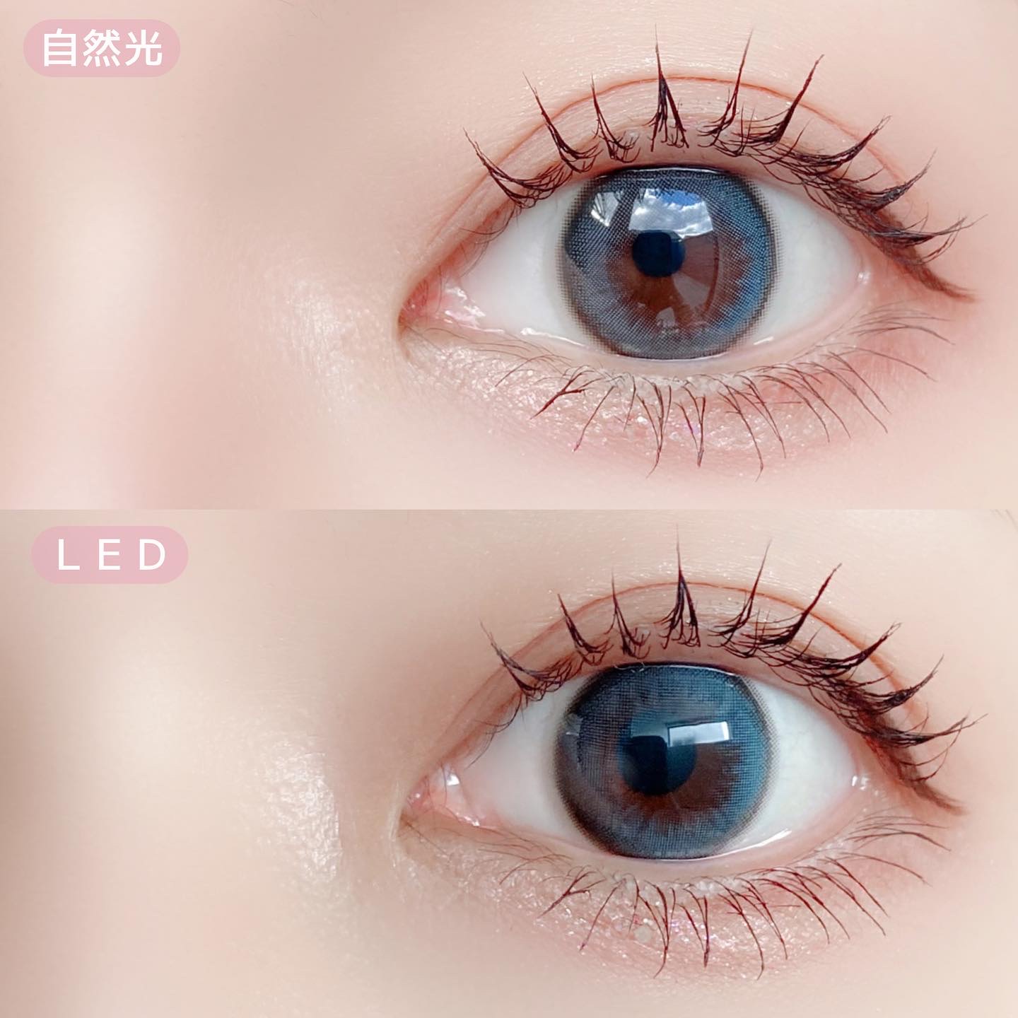 Daisy Shower 1Day/chuu LENS/ワンデー（１DAY）カラコンを使ったクチコミ（3枚目）