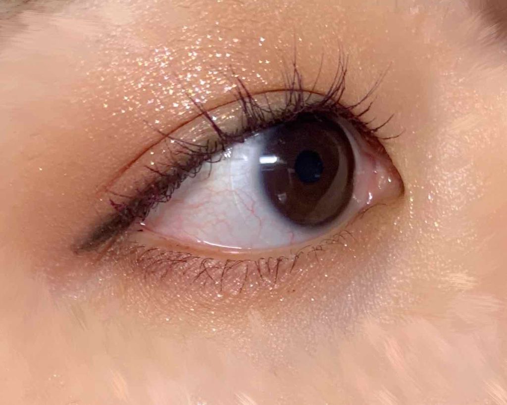 パーフェクトマルチアイズ/キャンメイク/アイシャドウパレットを使ったクチコミ(1枚目)