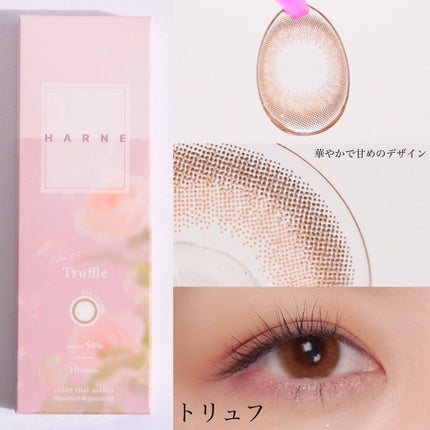 HARNE 1day/HARNE/ã¯ã³ããŒïŒïŒDAYïŒã«ã©ã³ã³ã䜿ã£ãã¯ãã³ãïŒ2æç®ïŒ