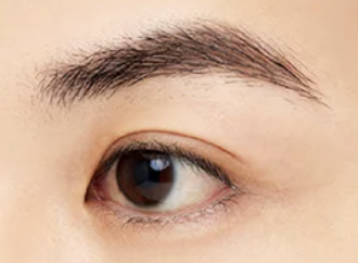 スタイリングアイブロウフィクサー EF1 Shade Black