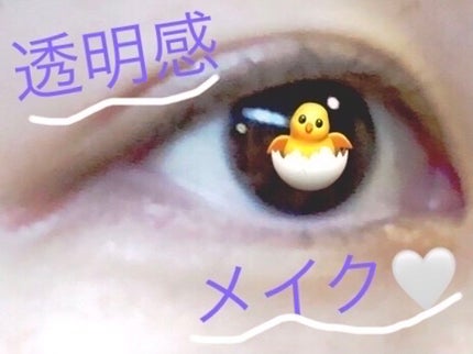 クイックラッシュカーラー/キャンメイク/マスカラ下地を使ったクチコミ(1枚目)