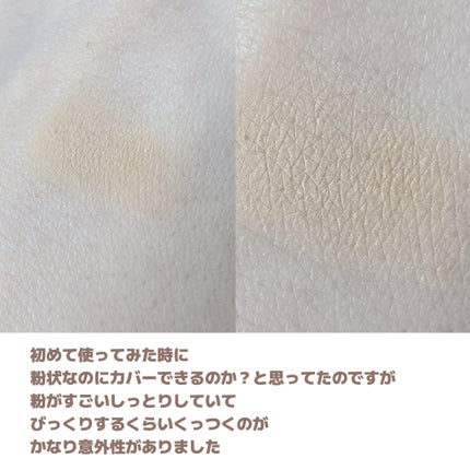 薬用コンシーラー アクネプロテクター/ONLY MINERALS/パウダーコンシーラーを使ったクチコミ(7枚目)