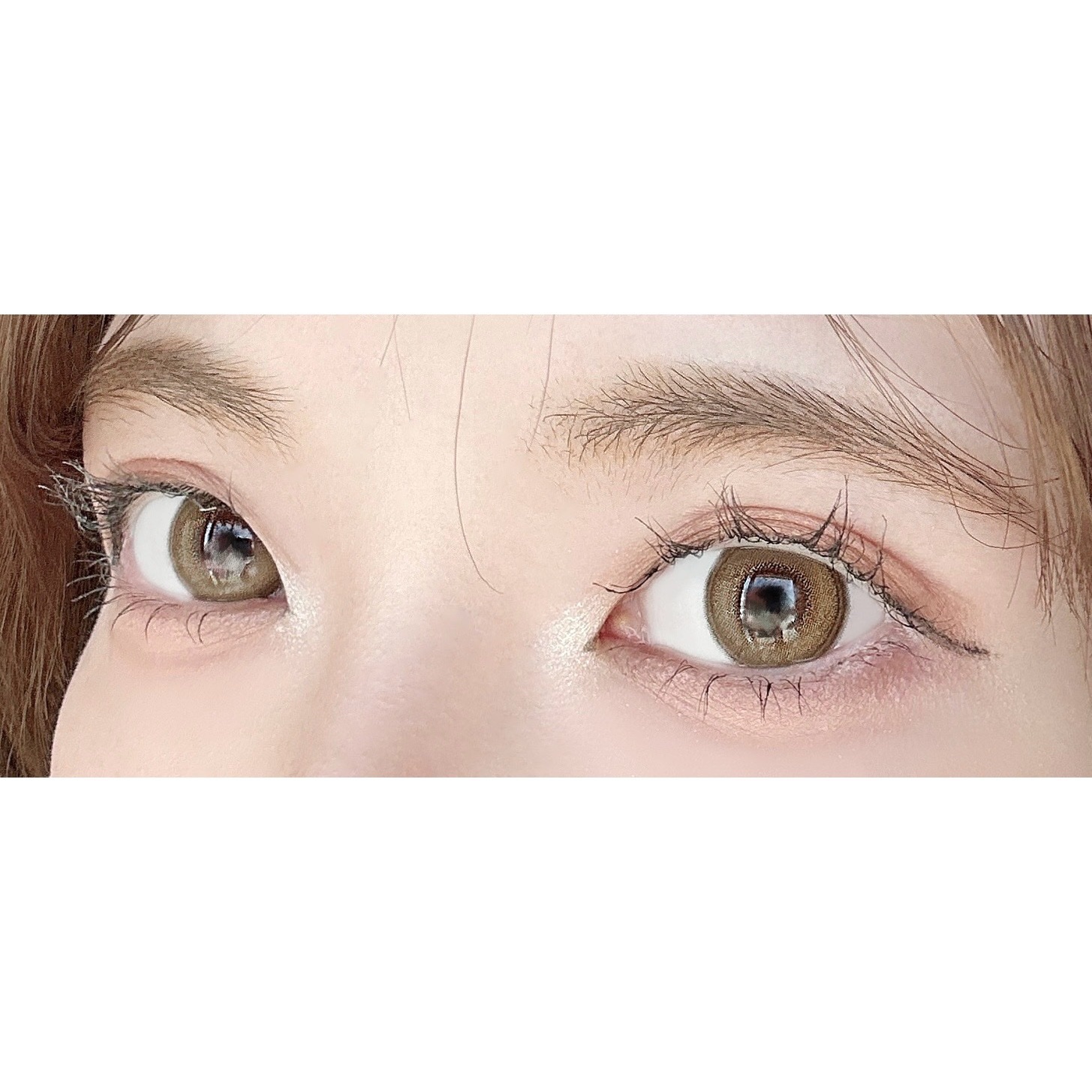 サンク クルール<ワイルド アース＞/Dior/アイシャドウパレットを使ったクチコミ（2枚目）