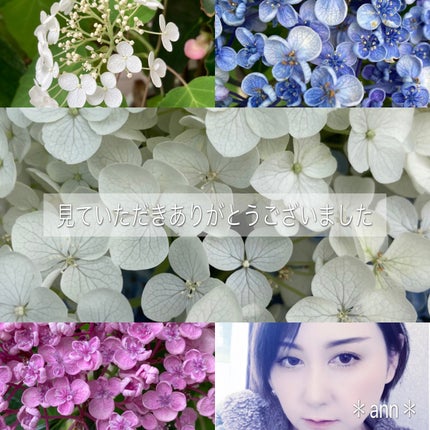 リ フレクト ハイドレンジア オードパルファム/ヴァシリーサ/香水(レディース)を使ったクチコミ(5枚目)