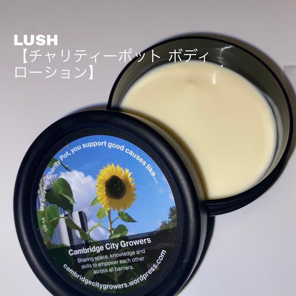 チャリティポット/ラッシュ/ボディローションを使ったクチコミ(1枚目)