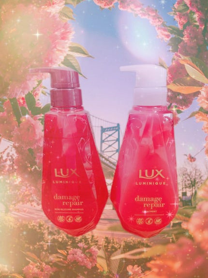 ルミニーク ダメージリペア シャンプー/トリートメント/LUX/市販シャンプーを使ったクチコミ(1枚目)