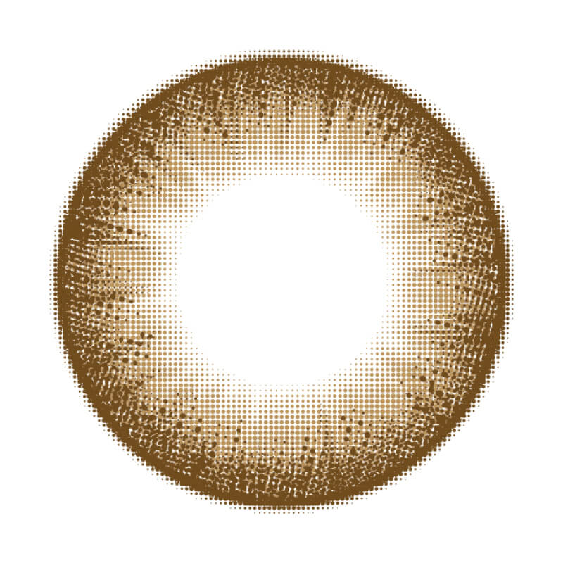 Majette 1day マジェスティックブラウン