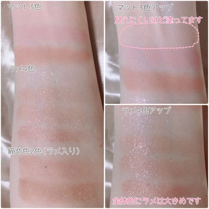 シャドウパレット/dasique/アイシャドウパレットを使ったクチコミ(2枚目)