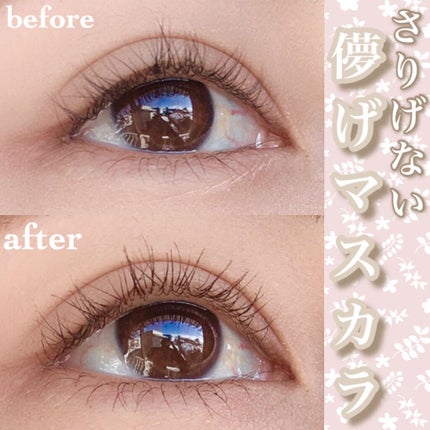 エテュセ アイエディション(マスカラ)/ettusais/マスカラを使ったクチコミ(1枚目)