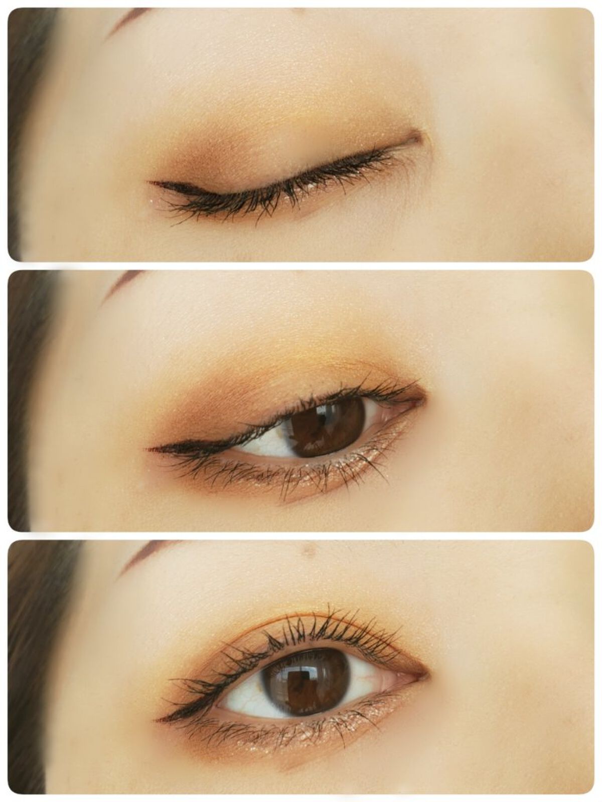 グラデーション アイシャドウ/ちふれ/アイシャドウパレットを使ったクチコミ（1枚目）