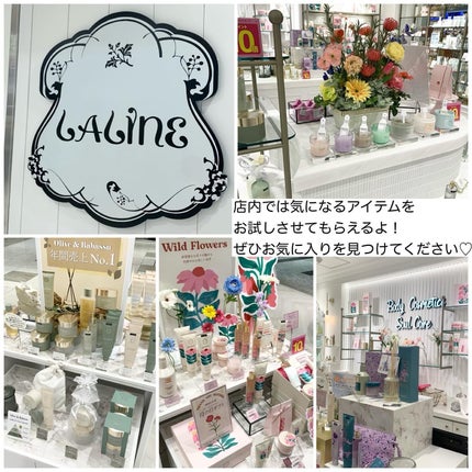 ボディミスト/Laline/香水(その他)を使ったクチコミ(5枚目)