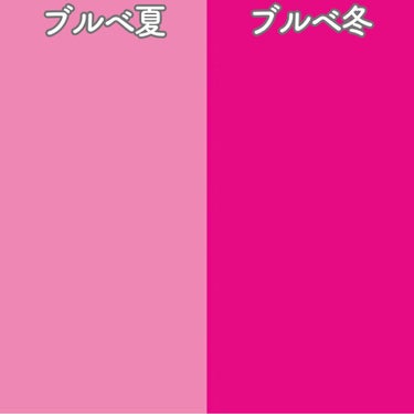   パーソナルカラー診断/Visée/その他を使ったクチコミ（2枚目）