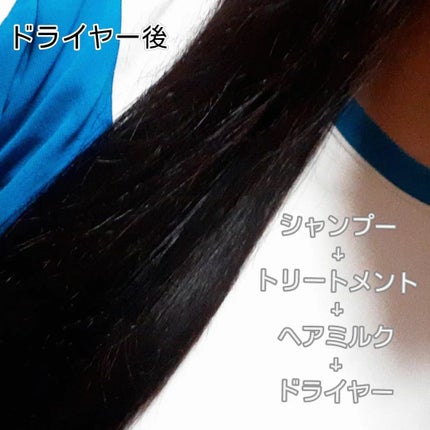 プルント リライトペアセット レッドワイン/Purunt./市販シャンプーを使ったクチコミ(8枚目)